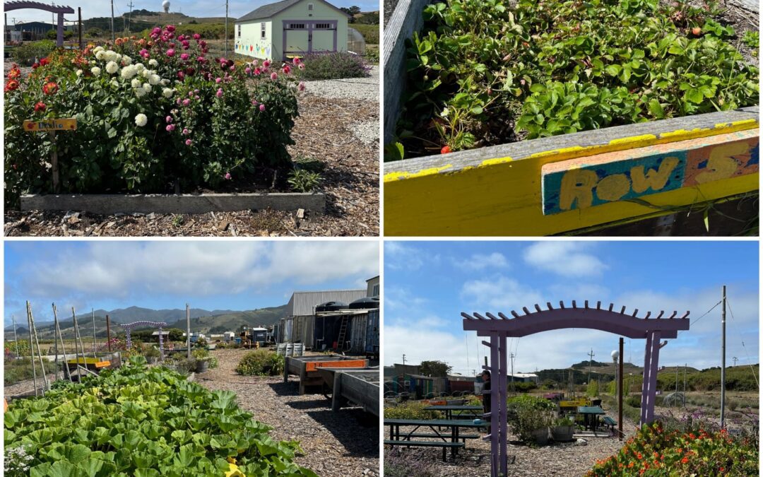 Helpers’ Farm Grant to Big Wave